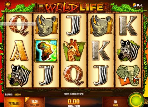  online casino wildlife